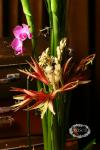 Букет с лютиками и орхидеями - Сезон дождей